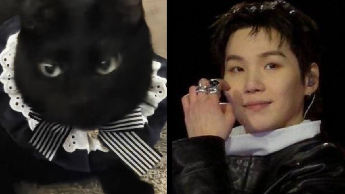 DocAwesome2's tweet photo. OMG TANG WAS A SPOILER!!! #suga #yoongi #tang #BTS_ARİRANG #netflix @ARMYProject529 https://t.co/1ZCka1pST3