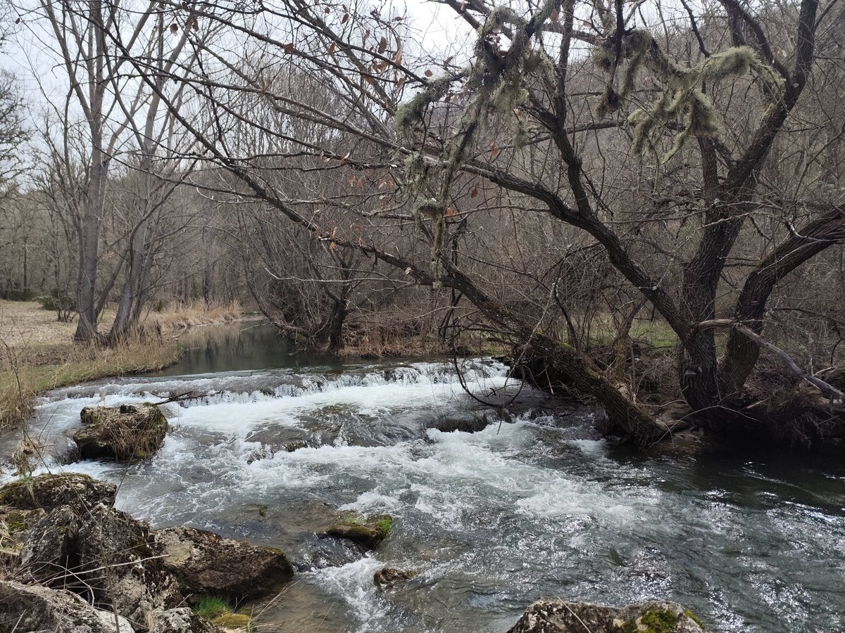 Alba 🌾 tweet media