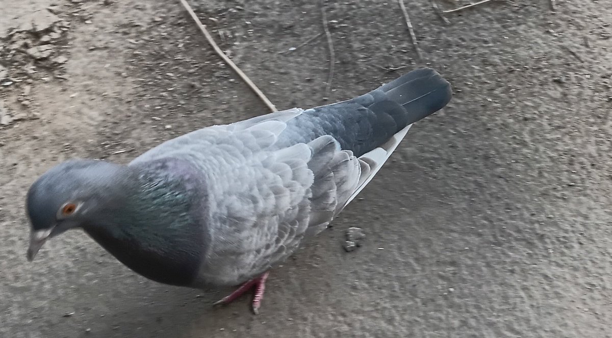 Dariusz Grochal tweet media