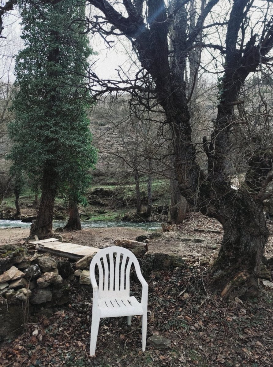 Alba 🌾 tweet media