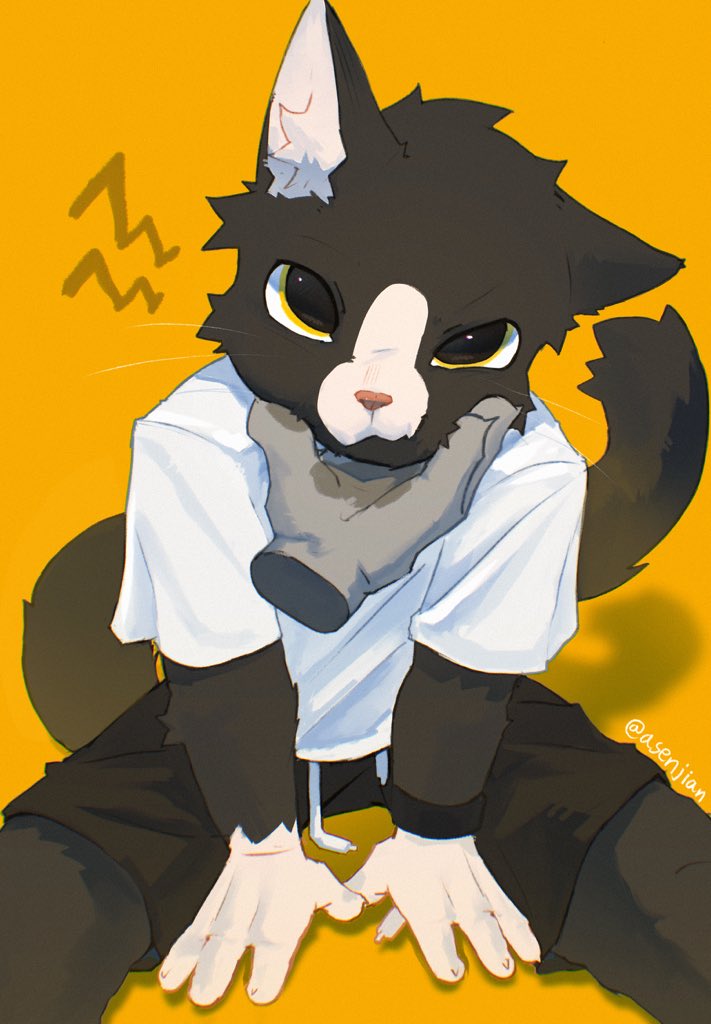 格尔森 tweet media