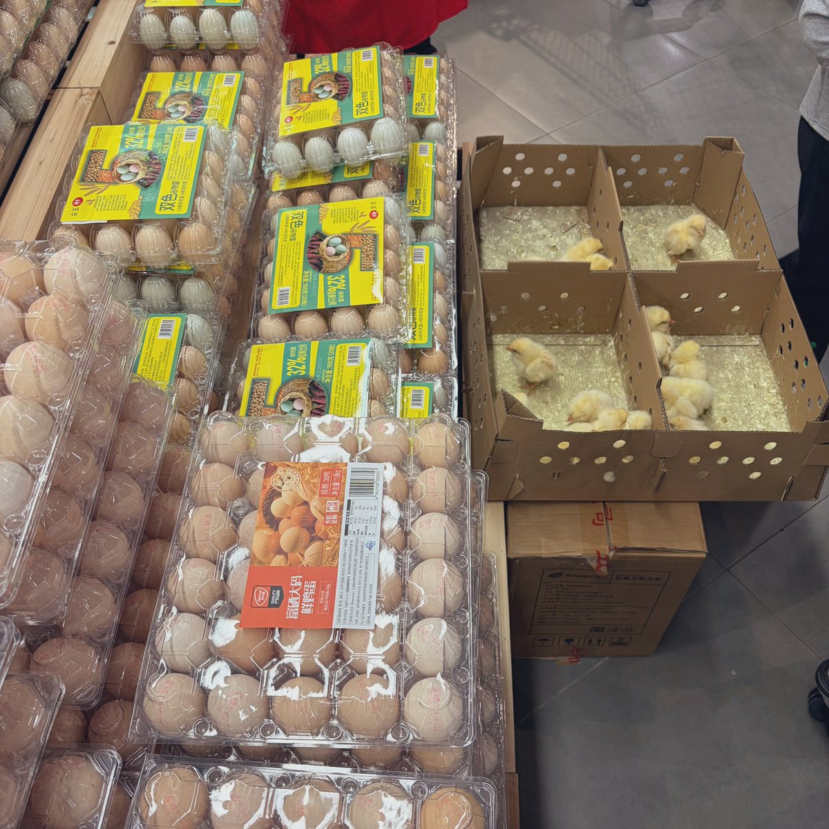 Frey轰轰 tweet media