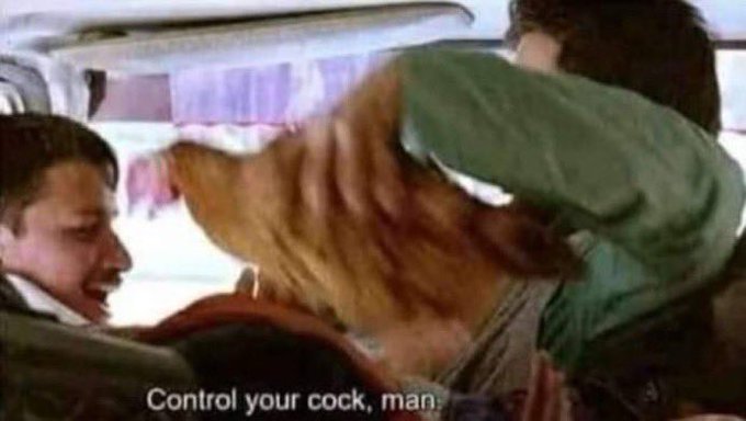 L U D A ©️ H ®️ I S tweet media