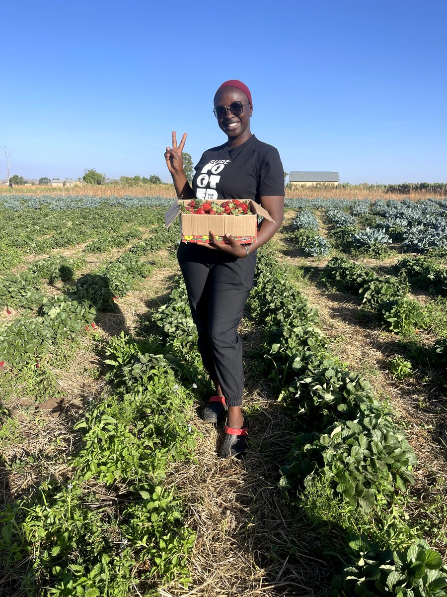 Ritkatmun tweet media