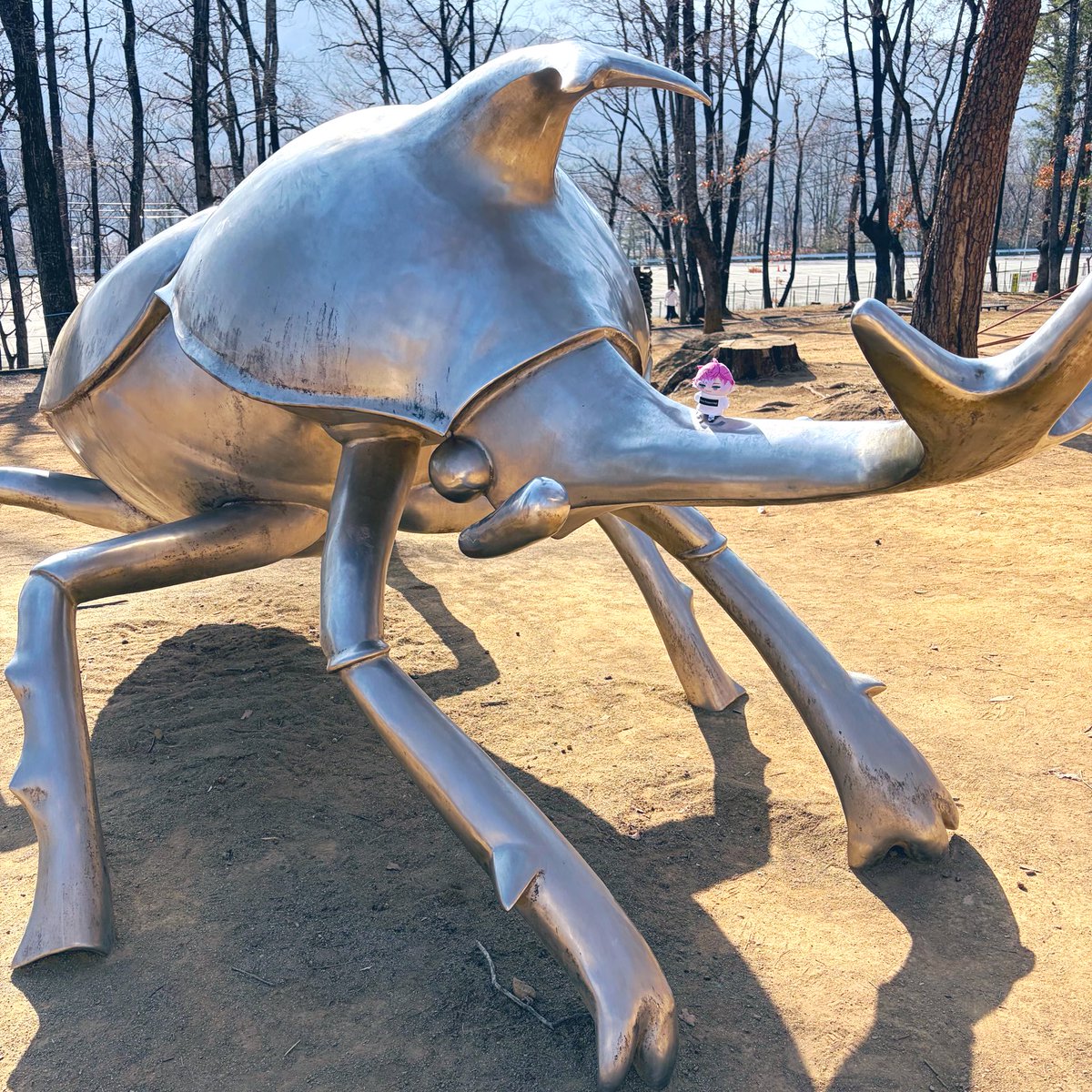 nayuko_925's tweet photo. さっそくお出かけしてきました！
流石にヘラクレスオオカブトはいなかった…
桜は五分咲きでした🌸

#れお見て https://t.co/J9gHgoihjB
