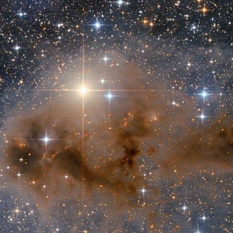 Lee-Anne Gibbon tweet media