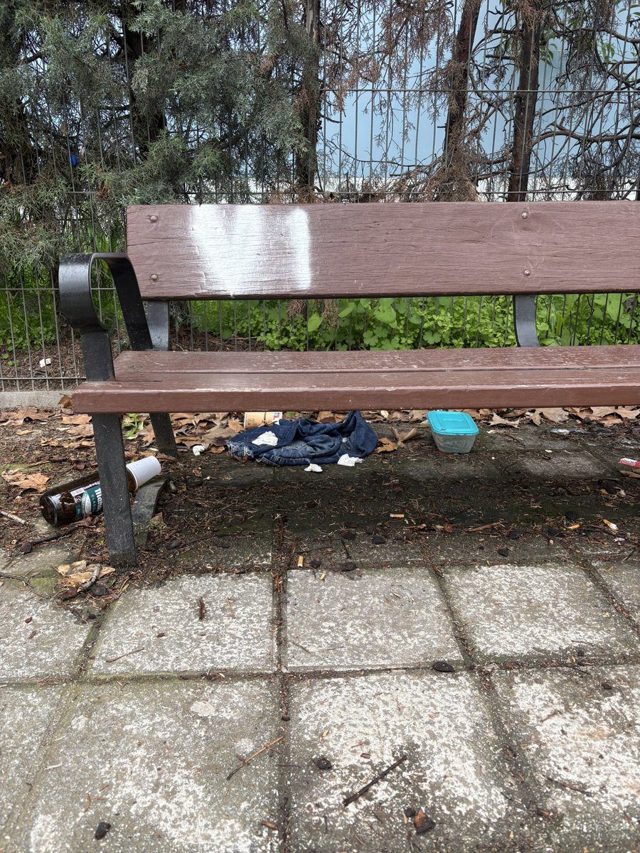 Lucía Charif Hernández tweet media