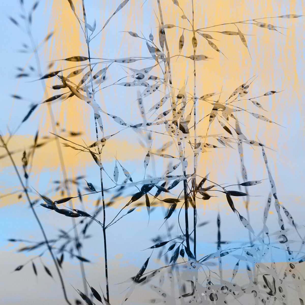 Gert Richter tweet media