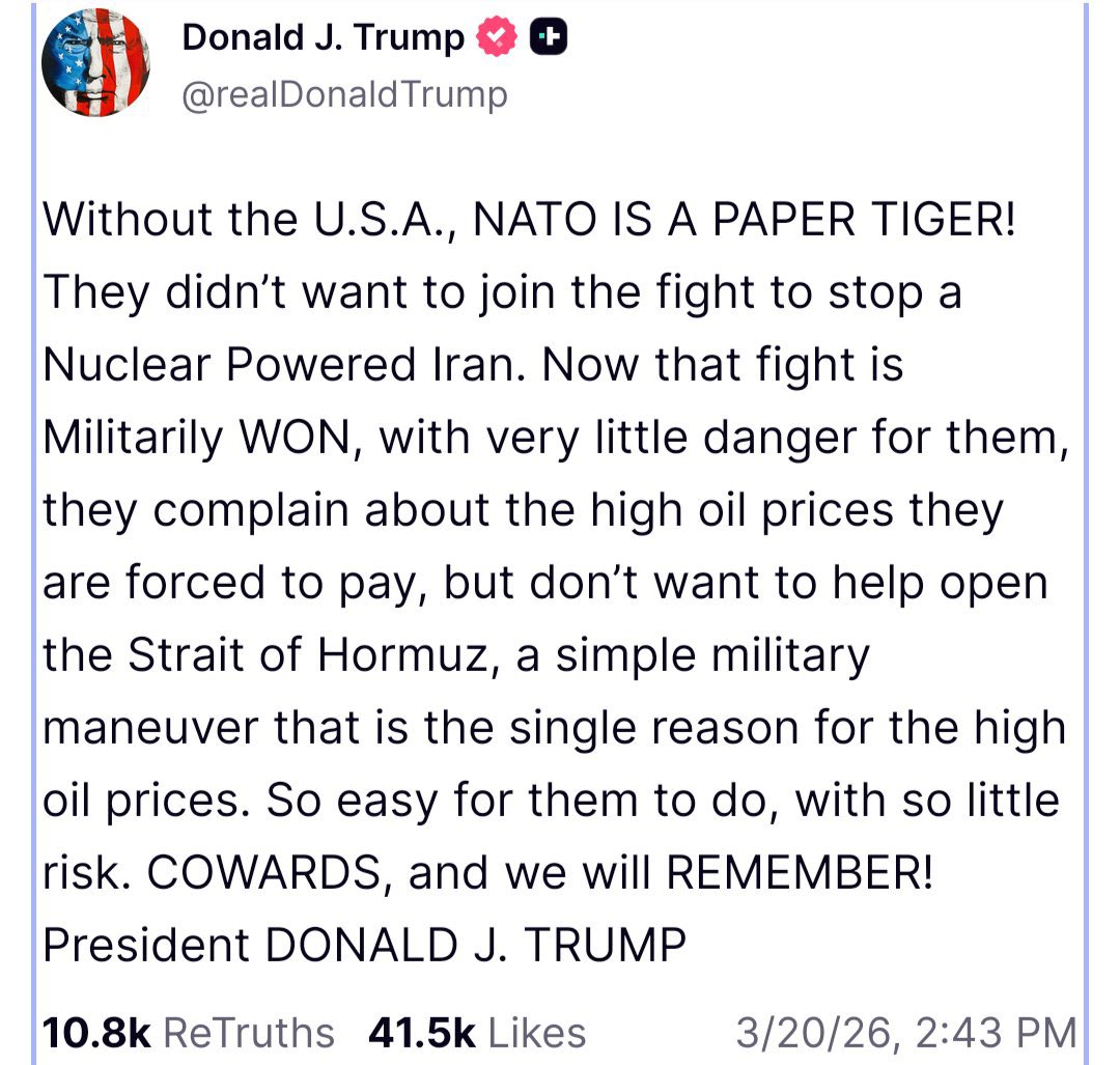 Milena Repajić tweet media