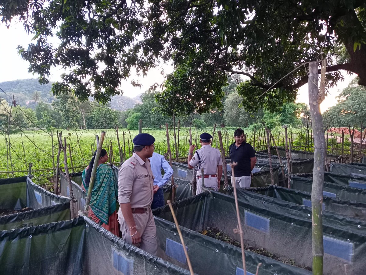 DFO Bolangir tweet media