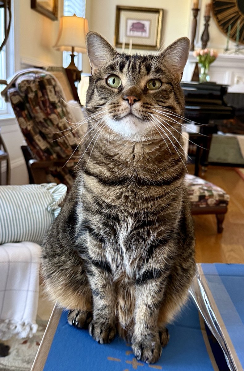 For the love of Missy. tweet media