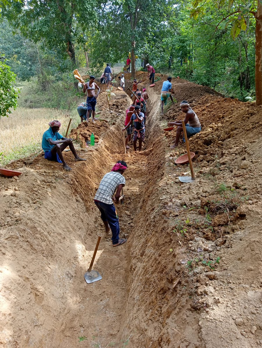 DFO Bolangir tweet media