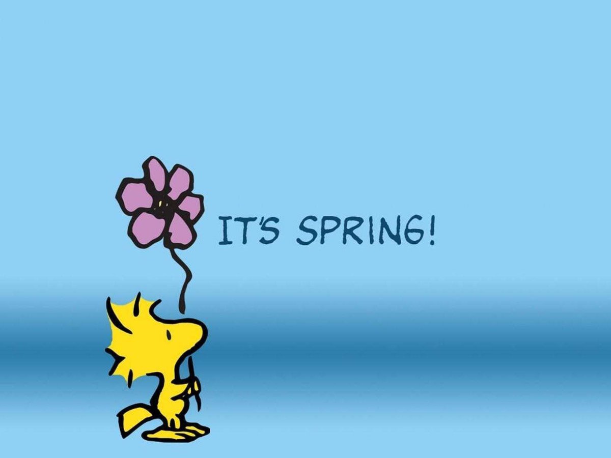 Happy Saturday and Happy Spring!

Dave's open 11am-4pm at 13478 Minnieville. Come on by for the best fast food in town!

In addition to our huge regular menu, for specials today we have Dave's famous chicken salad on a croissant $7.50 and apple turnovers for dessert $3.