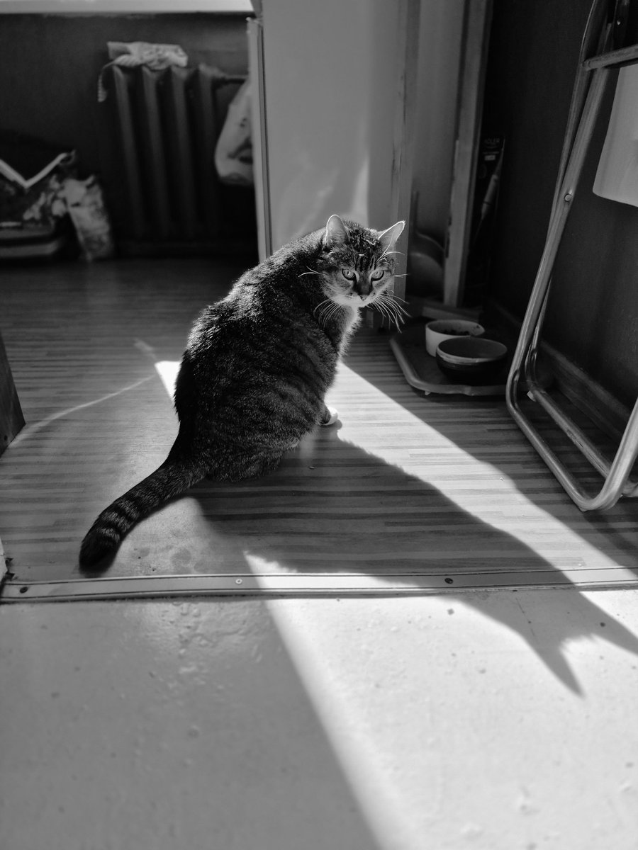 Mans Dievs tweet media