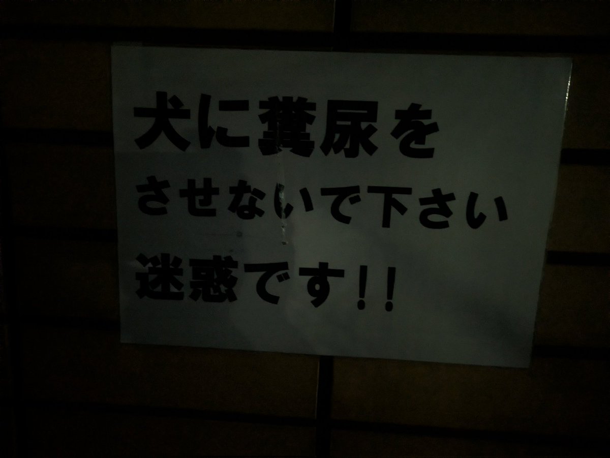 おにく（爆嫌） tweet media