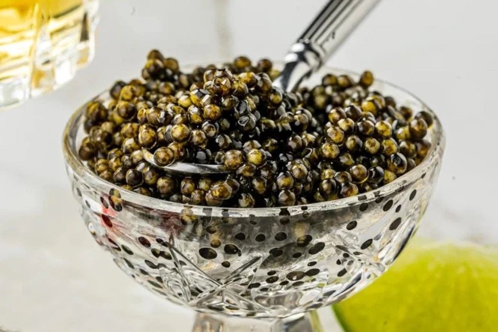 𝕏ебирь tweet media