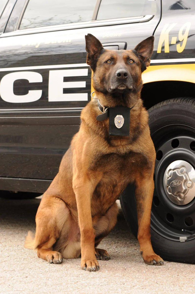 Jennifer Gravidez tweet media