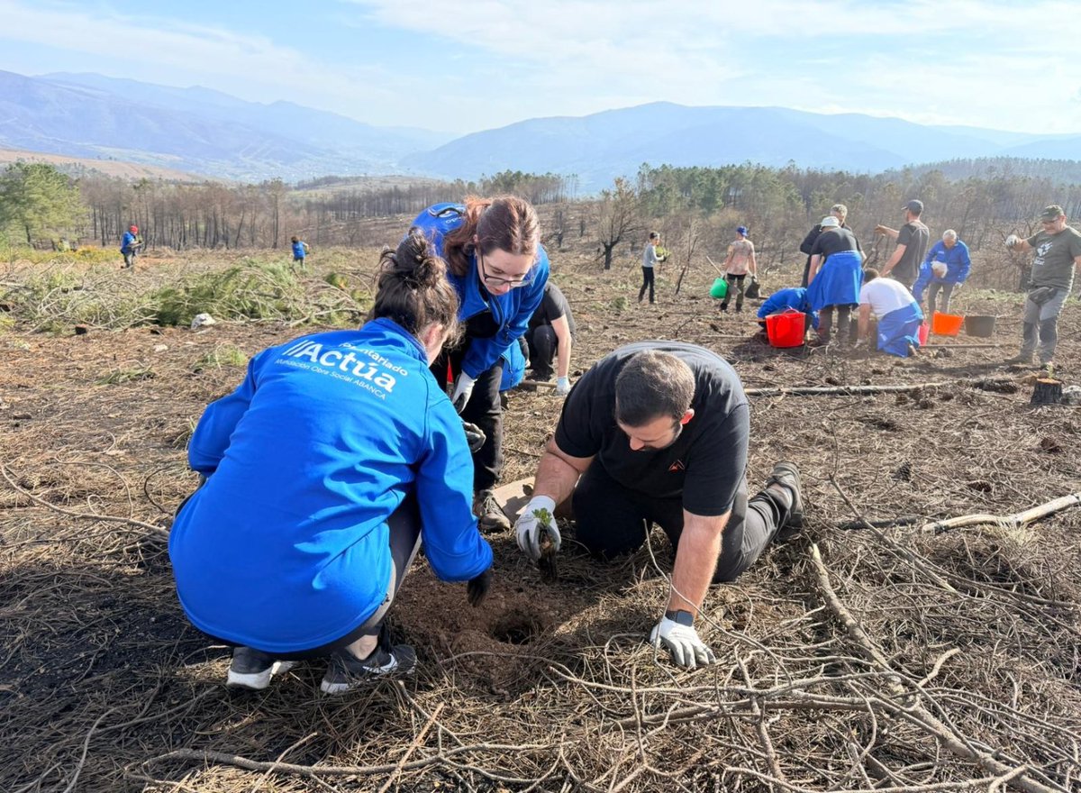 #ABANCAnoticias 📎 El voluntariado de ABANCA y <a href="/Afundacion_org/">Afundación</a> planta 700 árboles en Larouco para restaurar el epicentro del mayor incendio de Galicia. Te contamos los detalles en nuestra Sala de Comunicación 👉🏻 comunicacion.abanca.com/es/noticias/el…