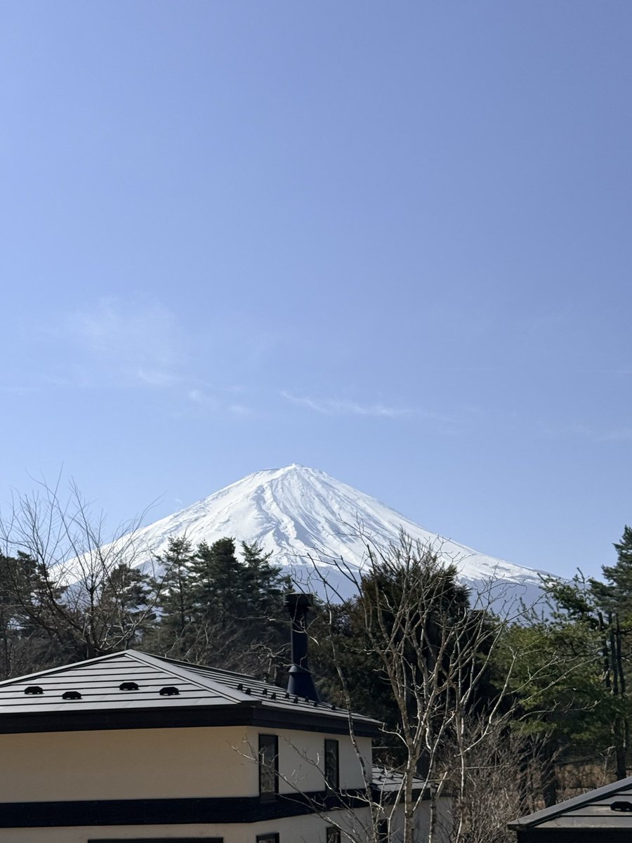 𝙎𝙚𝙛 tweet media