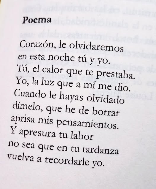 literland tweet media