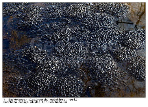 𝕏ебирь tweet media