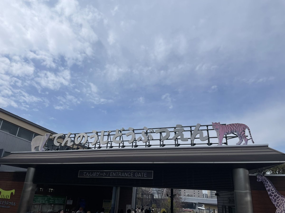 ラファママなのだ🦈💜 tweet media