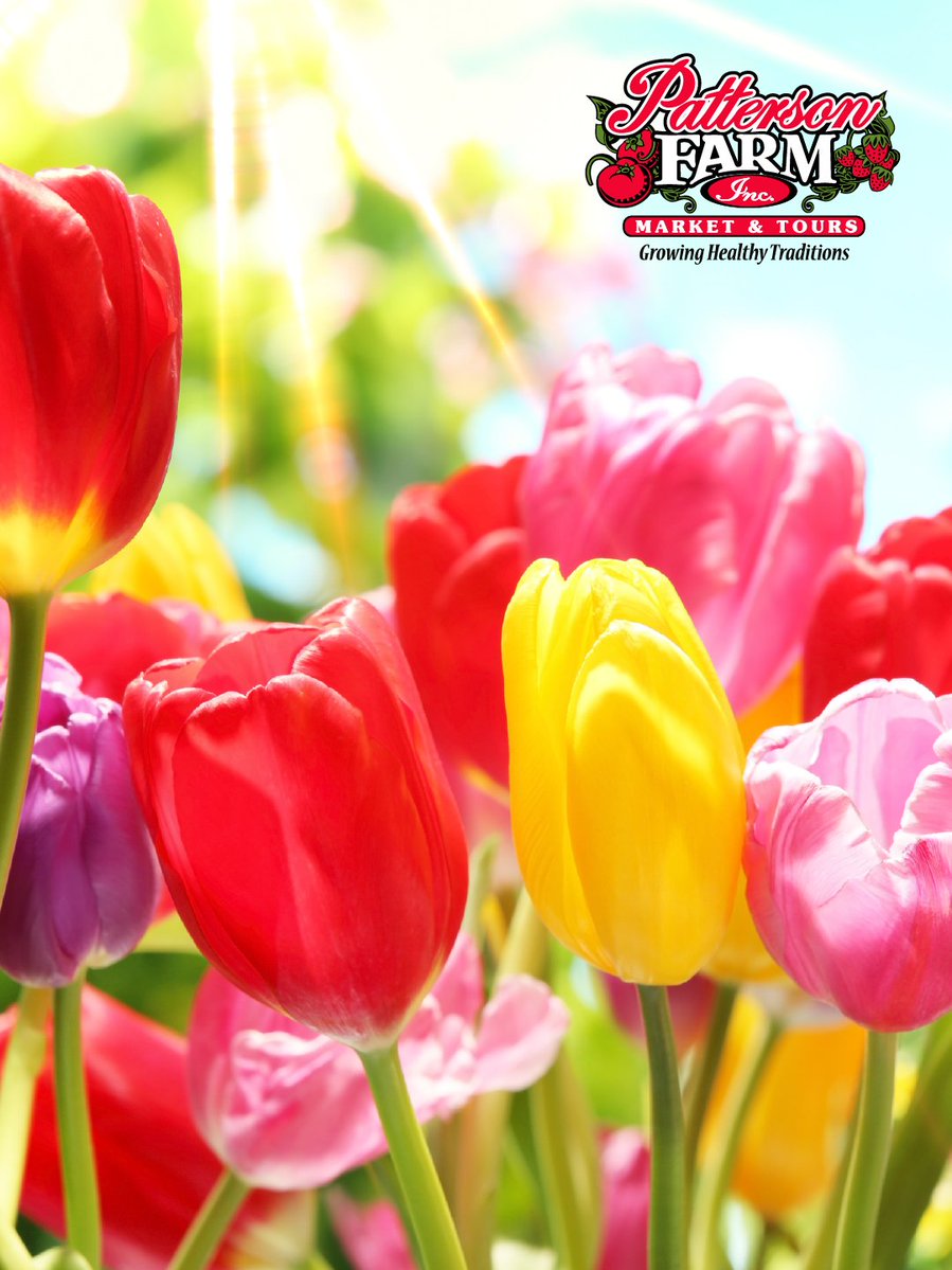 Patterson Farm, Inc. tweet media