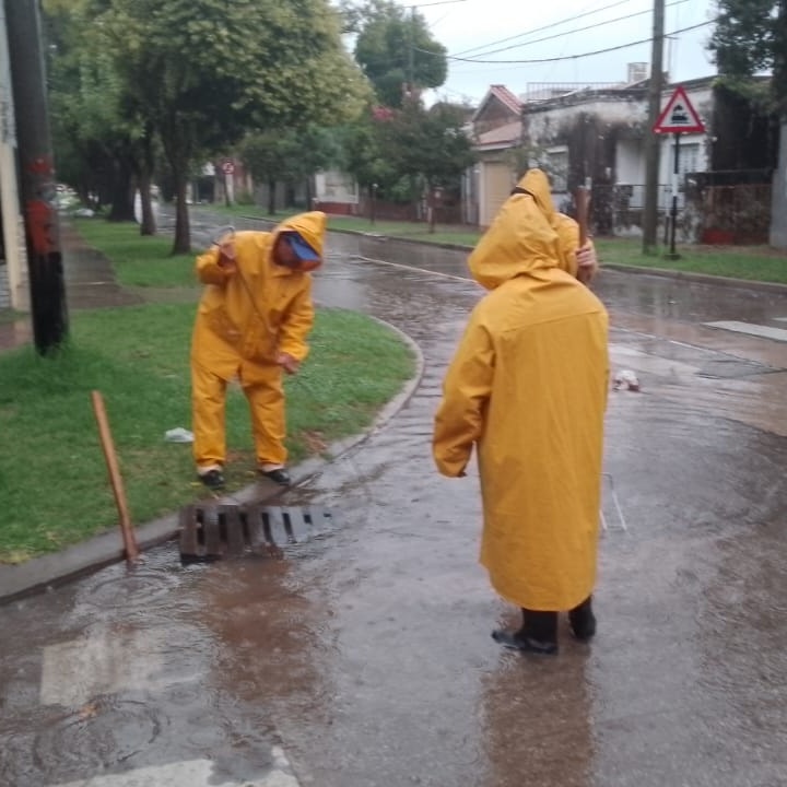 Seba Chale tweet media