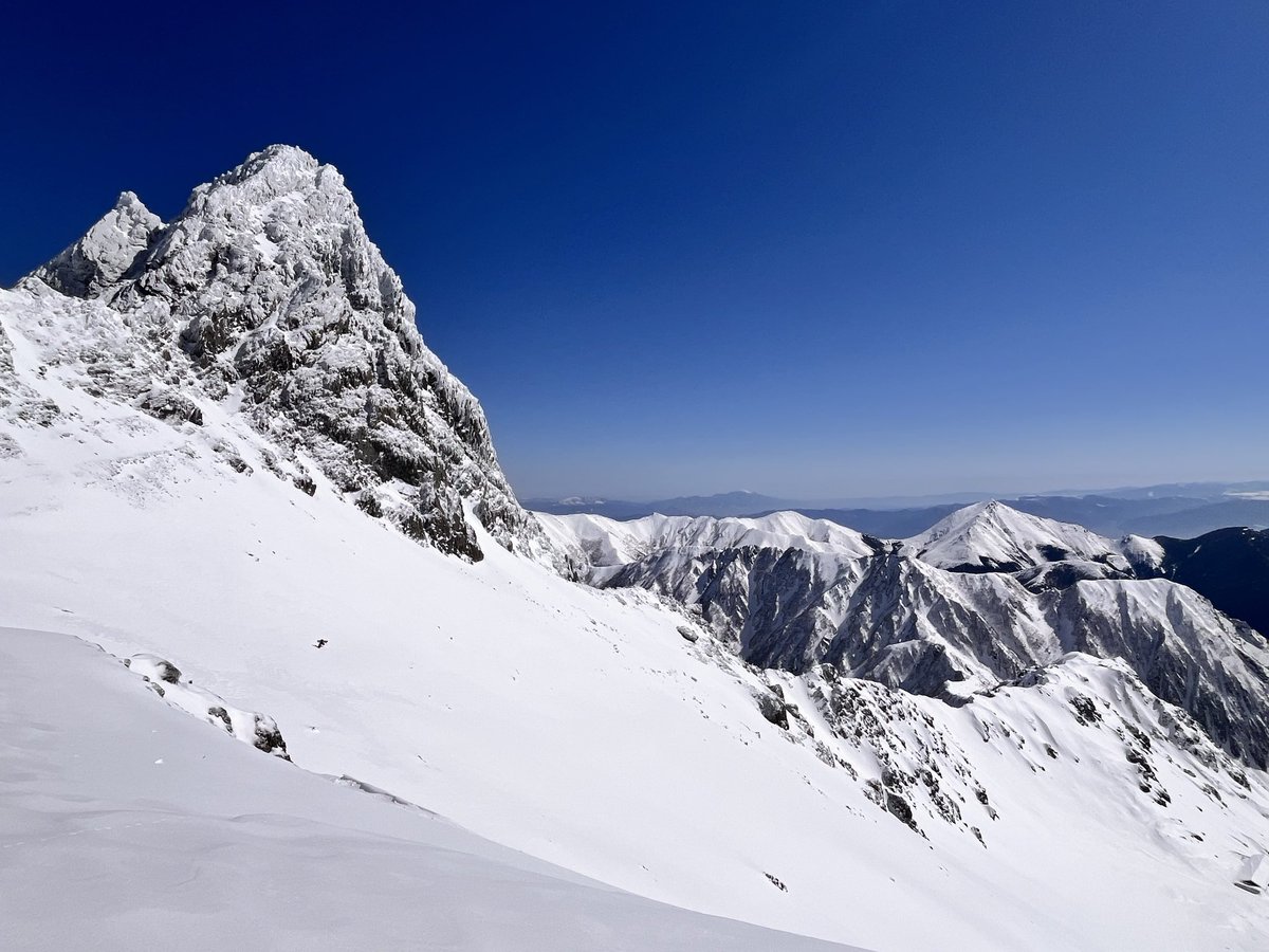 まきずし tweet media