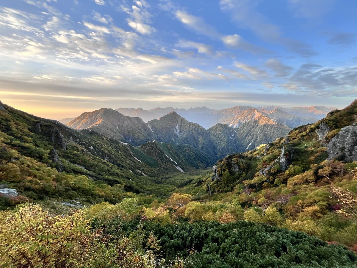 まきずし tweet media