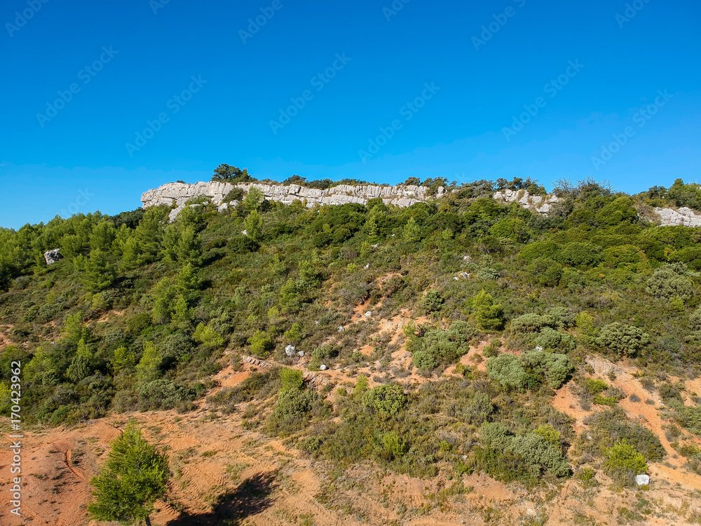 LajouxSancy tweet media