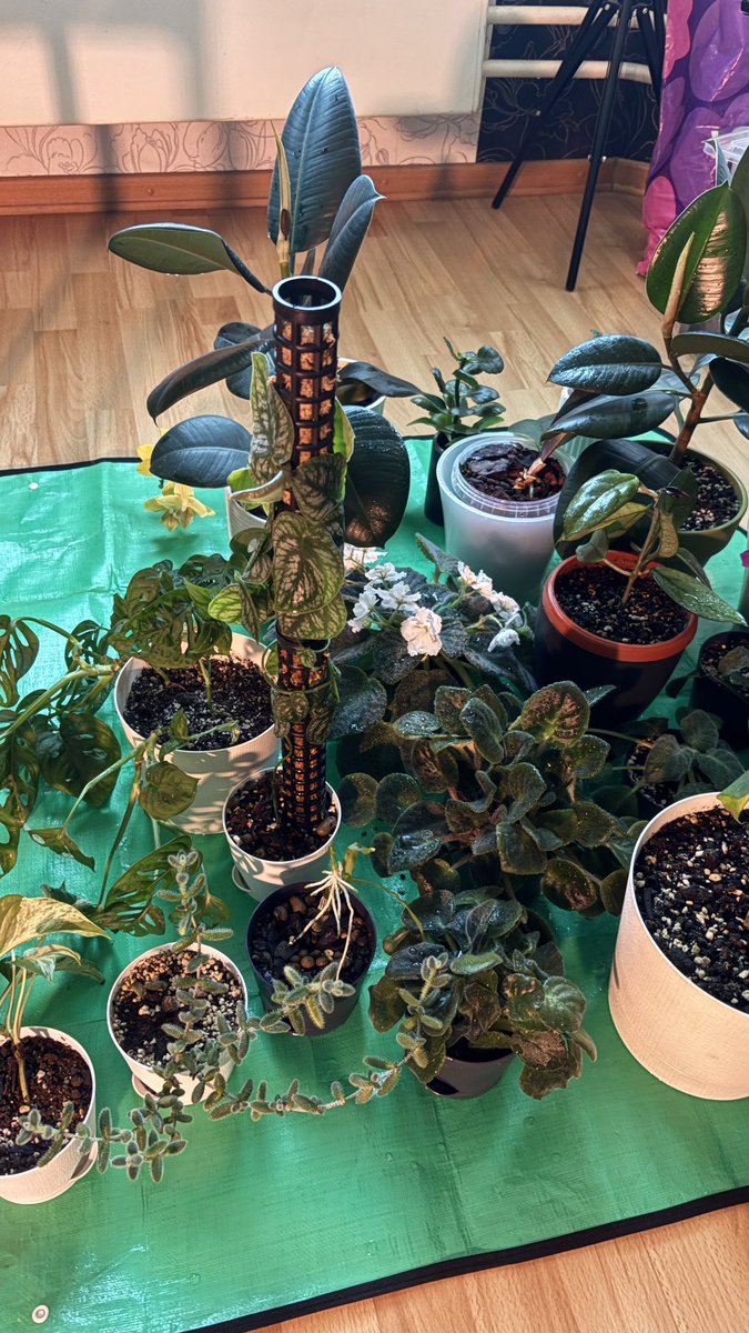 Почти серьёзно tweet media