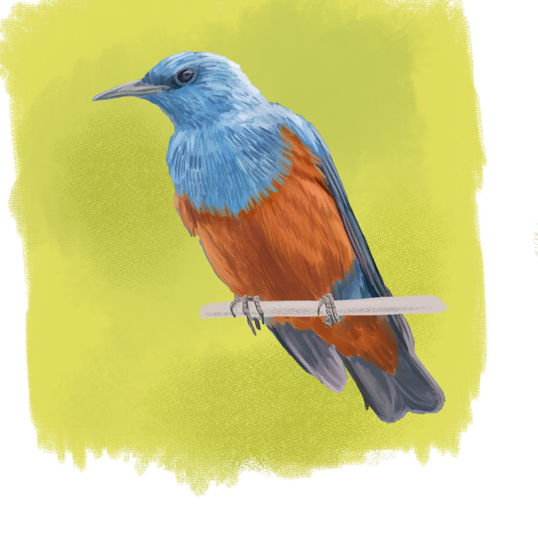 なんてーの（修行） tweet media