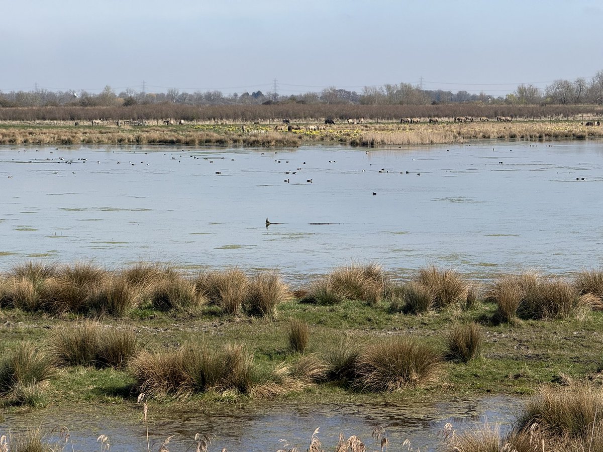 Tony Juniper tweet media