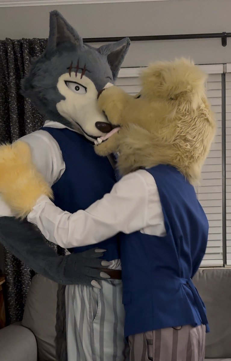 Moose (Differmitt) 🔜 TFF tweet media