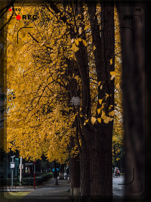 Boris Bogdanov tweet media