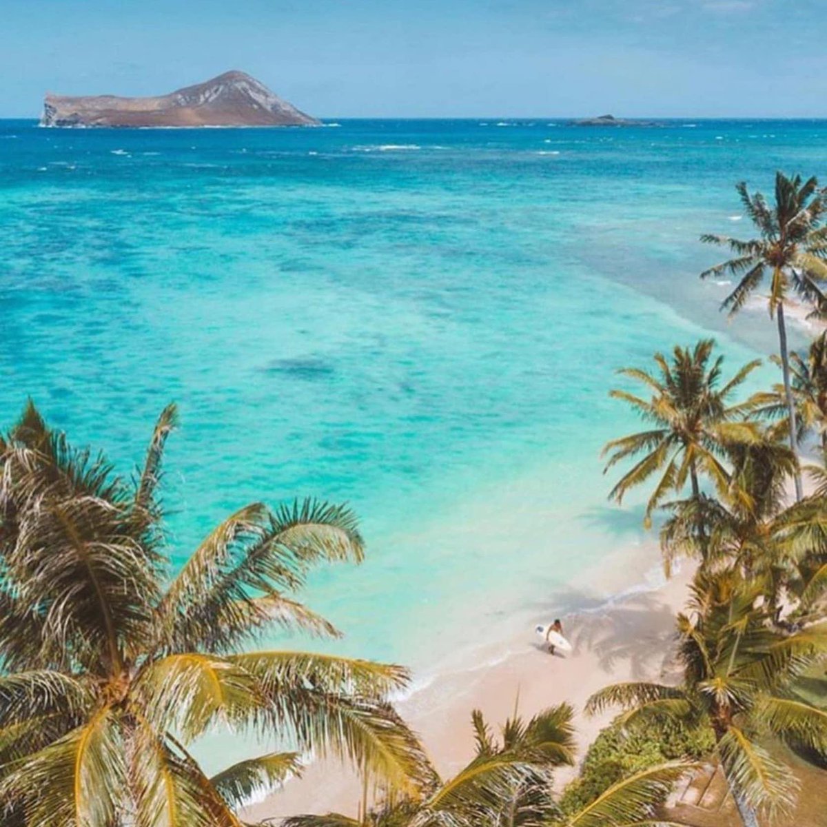 Bill Thomas tweet media