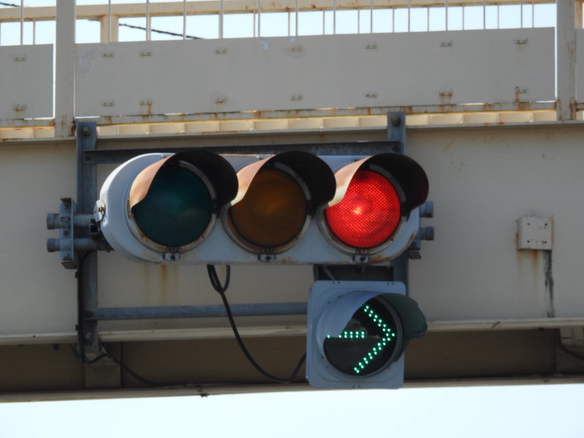 アヤメ tweet media