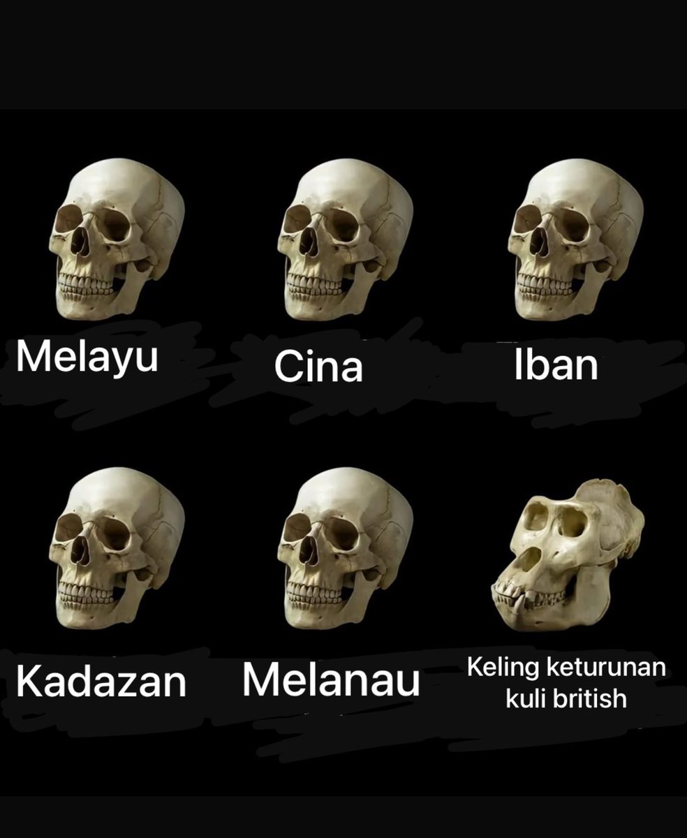 heretickeling tweet media