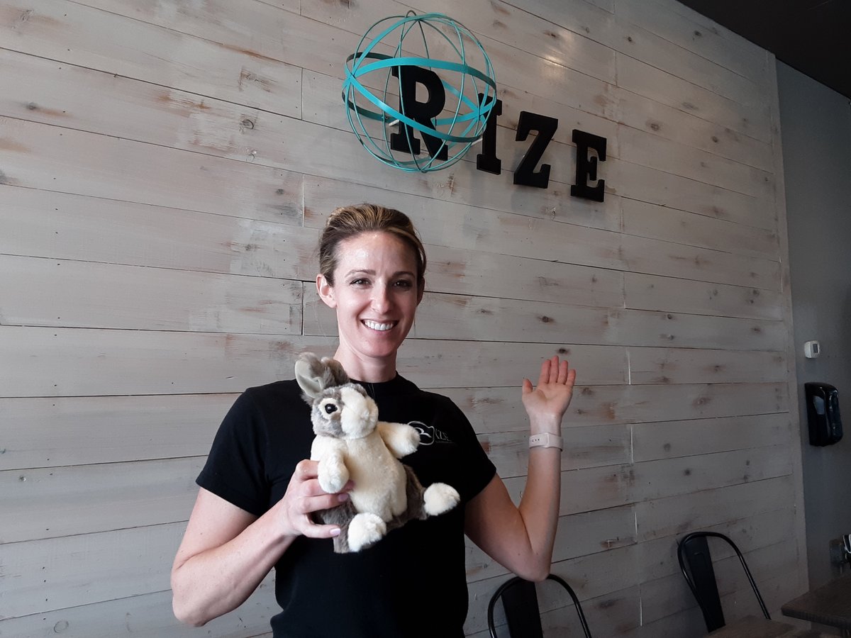 Marple Library tweet media