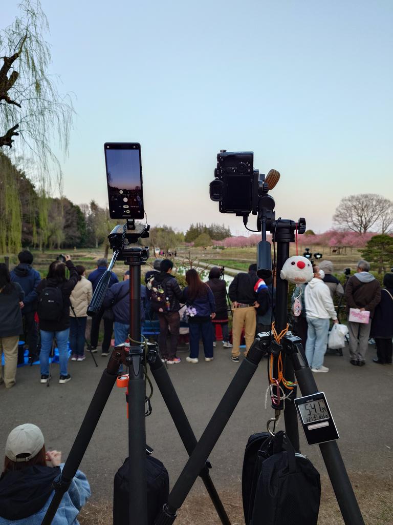 dsokina's tweet photo. 今日はここから！
2026年3月21日（日） 第50回古河桃まつり 手筒花火 スカイランタン、打上花火 https://t.co/erYgkwwClU