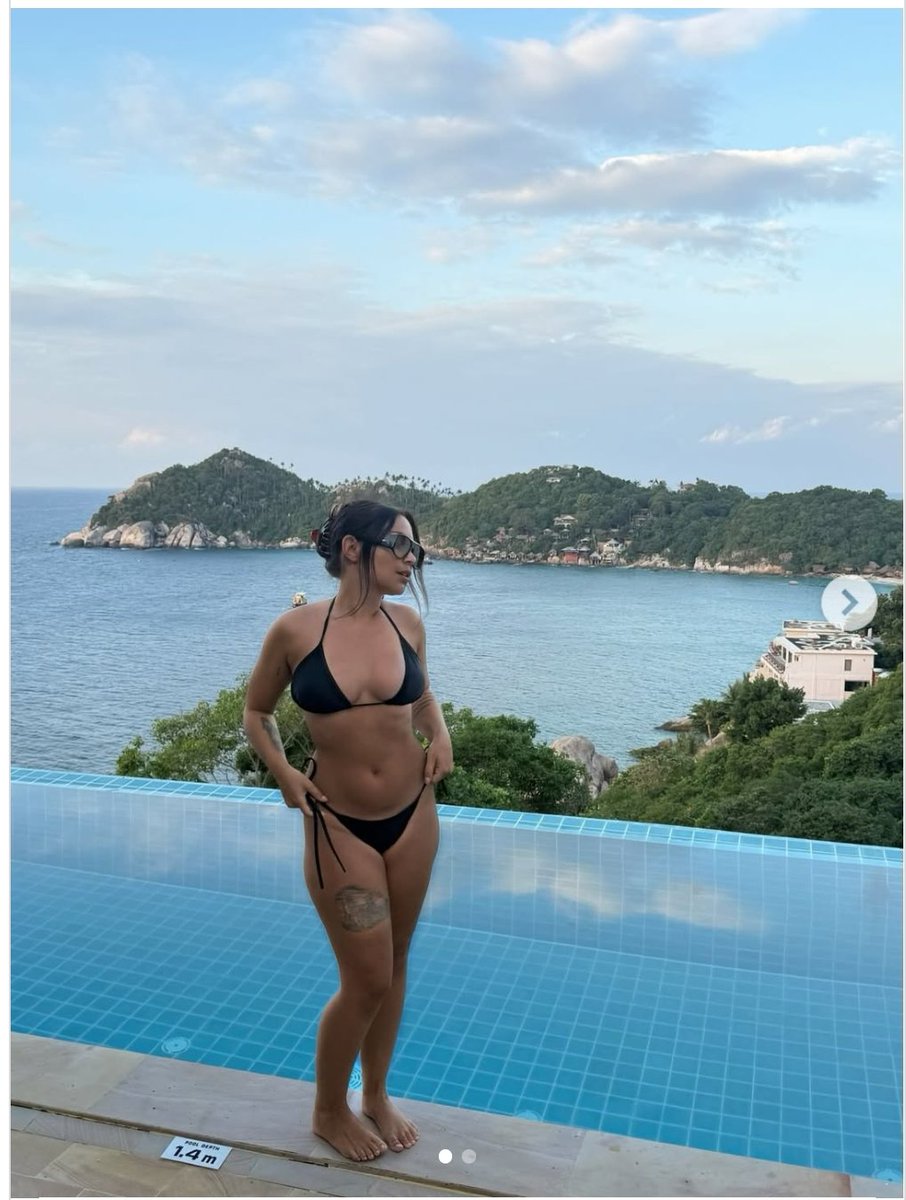 Pjotr Debatt tweet media