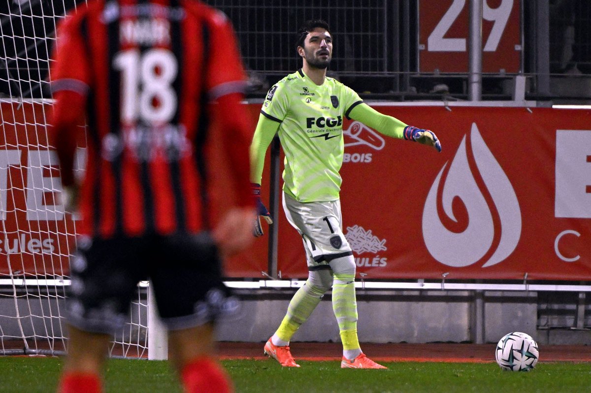 ASNL Database tweet media