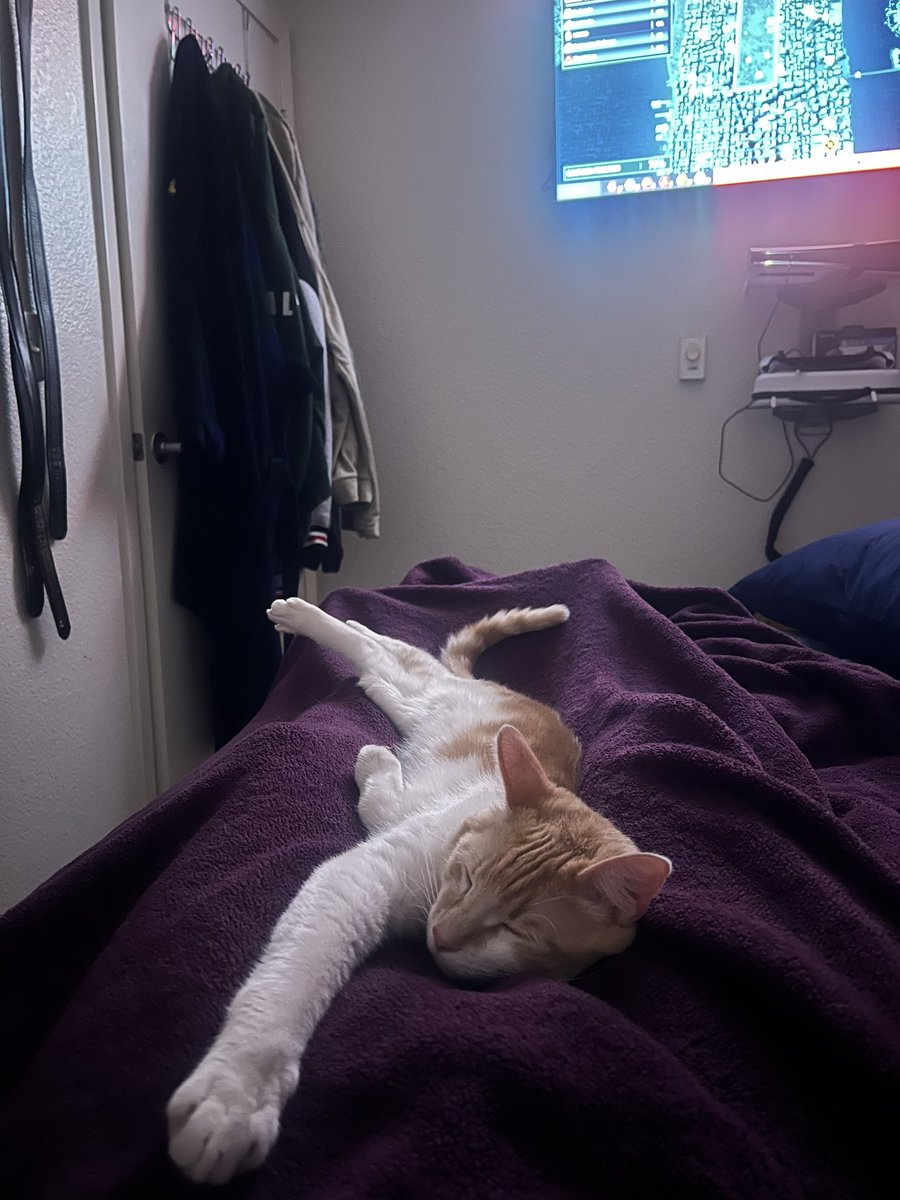 addemslit tweet media