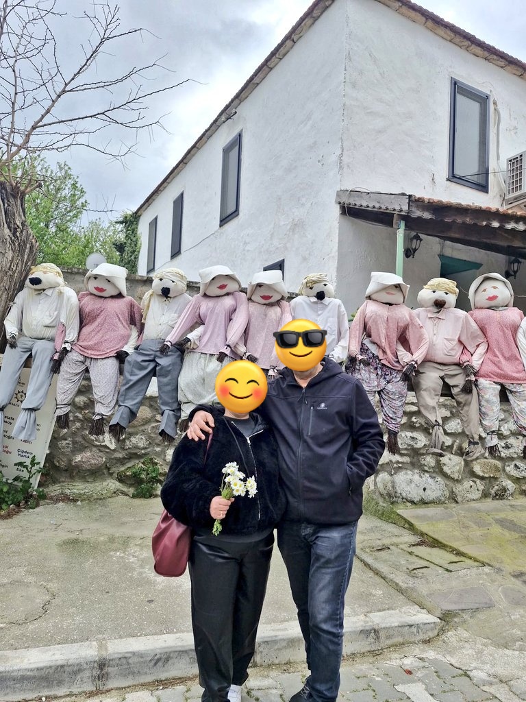 canhayal tweet media