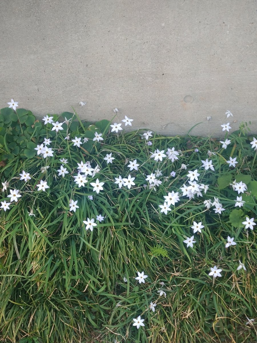 ゲーム屋秀 tweet media