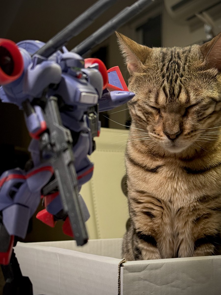 Gajumaru810's tweet image. #ドラグナー #D2 #リフター2
楽しく組めました😏