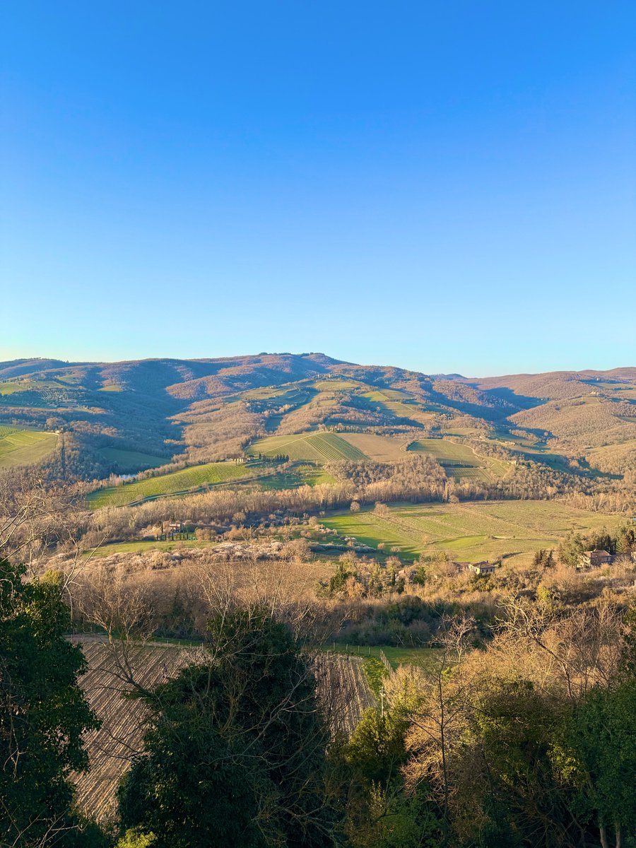 Yayou 🍋 tweet media