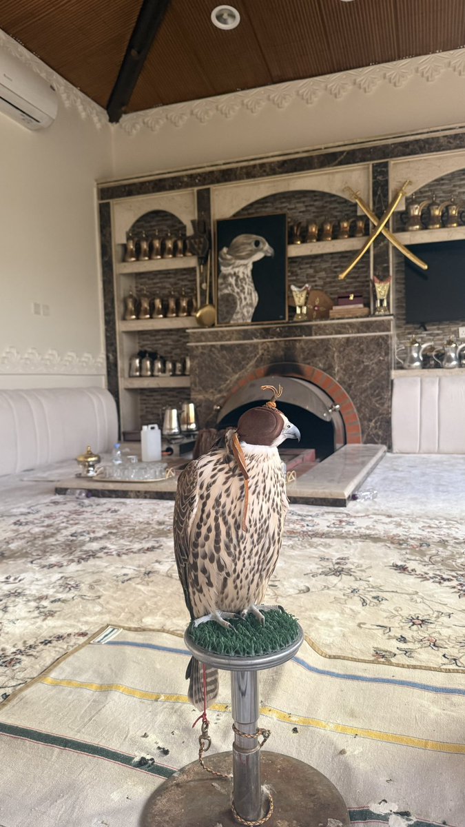 عبدالمجيـد tweet media