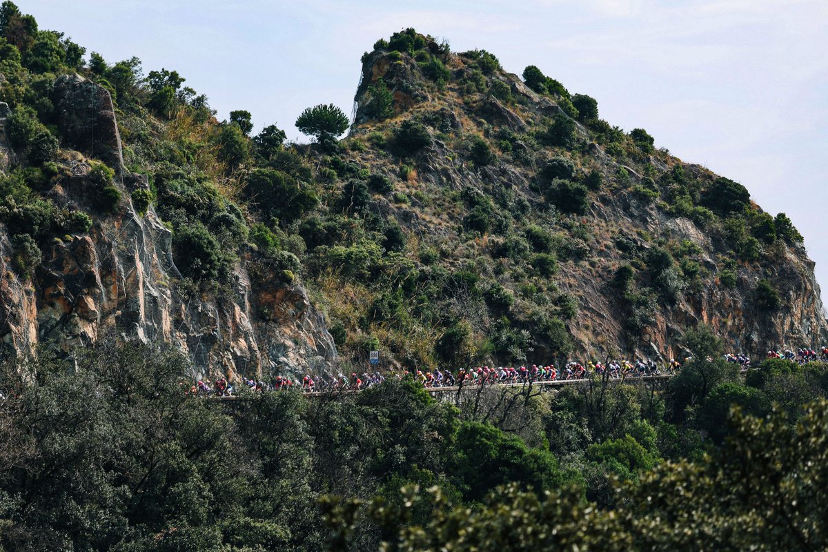 Milano Sanremo tweet media